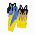Conjunto deportivo en colores vibrantes Seamless Yoga Set (Bra & Leggings)